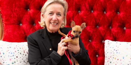 Arizona Humane Society Launches Spay & Neuter Initiative Backed by $600k Matching Donation